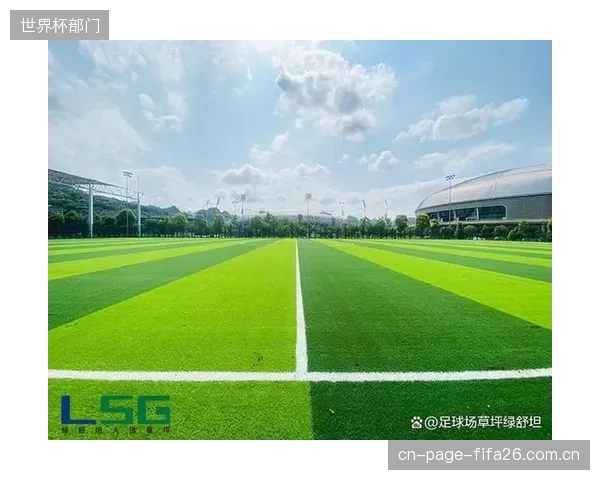 北美赛场采用的混合草坪系统能有效提升场地排水和恢复速度，保障比赛平稳进行。